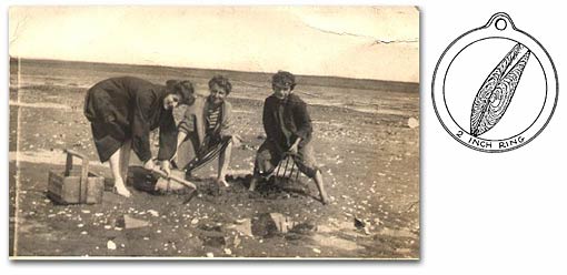 Harbormaster - Shellfish